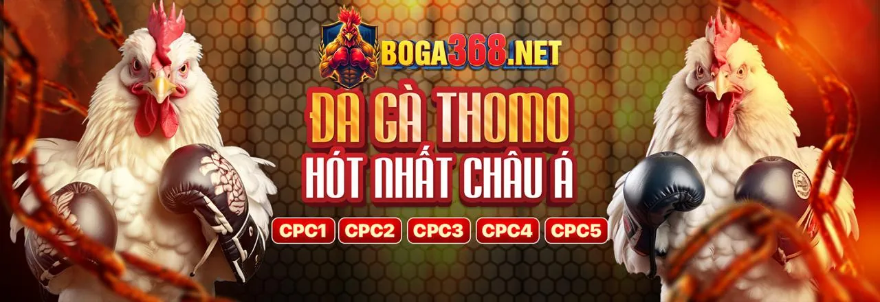 Đá gà trực tuyến kịch tính tại new 8
